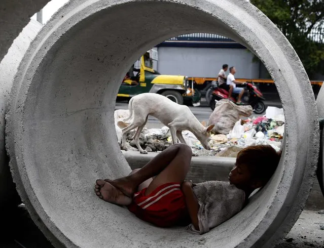 A boy takes a nap inside a culvert used to prevent flooding, next to a pile of trash along a busy street in Tondo, Manila September 3, 2014. (Photo by Erik De Castro/Reuters)