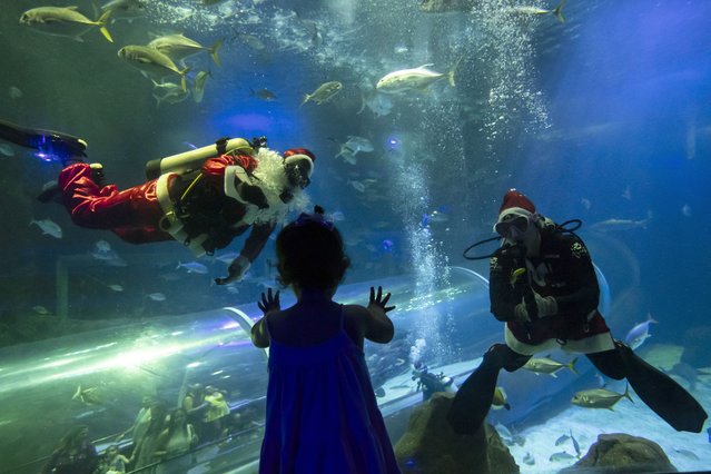 Divers dressed as Mother Christmas and Santa Claus wave to a young visitor from inside a shark tank at the AquaRio marine aquarium, in Rio de Janeiro, Brazil, Saturday, December 23, 2023. The performances have become an annual Christmas tradition. (Photo by Bruna Prado/AP Photo)