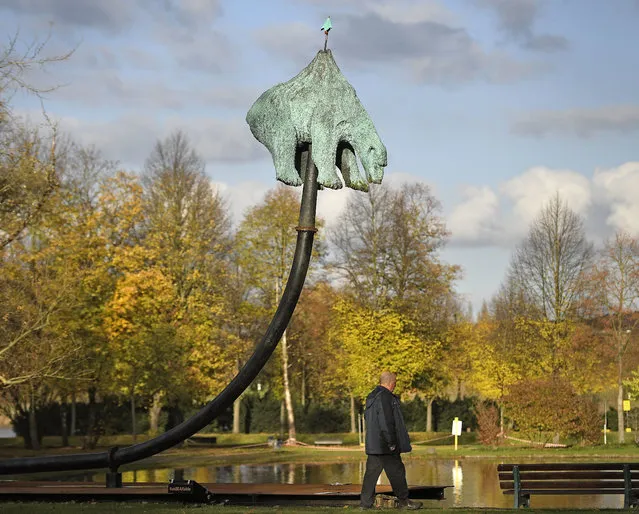 A man passes by the sculpture with a polar bear on a spear by Danish artist Jens Galschiot in a park outside the 23rd UN Conference of the Parties (COP) climate talks in Bonn, Germany, Friday, November 17, 2017. (Photo by Martin Meissner/AP Photo)