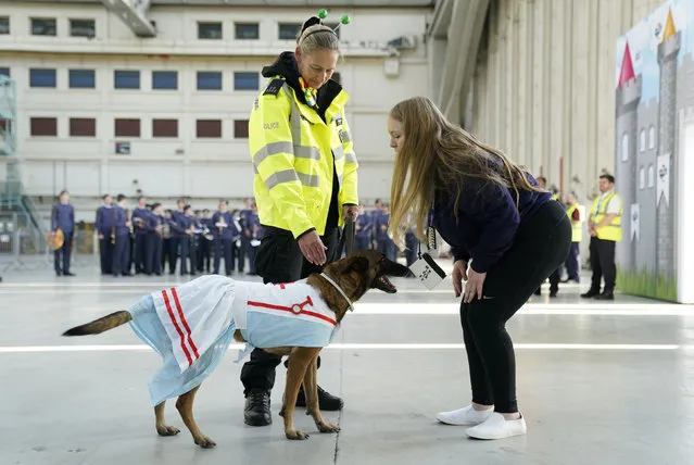 A child meets police dog Yara during a hangar event at Heathrow Airport on Sunday, October 16, 2022 as part of the Dreamflight charity trip, ahead of boarding a specially chartered British Airways jet from Heathrow Airport to Florida. (Photo by Andrew Matthews/PA Wire)