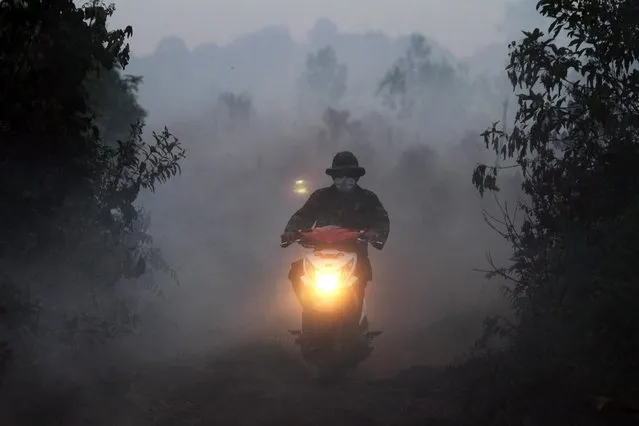 An Indonesian soldier rides a motorbike through thick smoke from burning land in Kampar, Riau province, Indonesia, 27 August 2016. According to media reports, thousands of firefighters have been sent in Riau province to control the land and forest fire. Indonesian authorities reported that they have arrested more than 450 people linked to forest fires that hit the country in previous years caused a cloud of toxic smoke which affected several countries in the region, local media reported 26 August 2016. The head of the National Police, Tito Karnavian, said the arrests serve as a deterrent against companies and farmers who start uncontrolled burning of agricultural production land for cleaning. (Photo by Rony Muharrman/EPA)