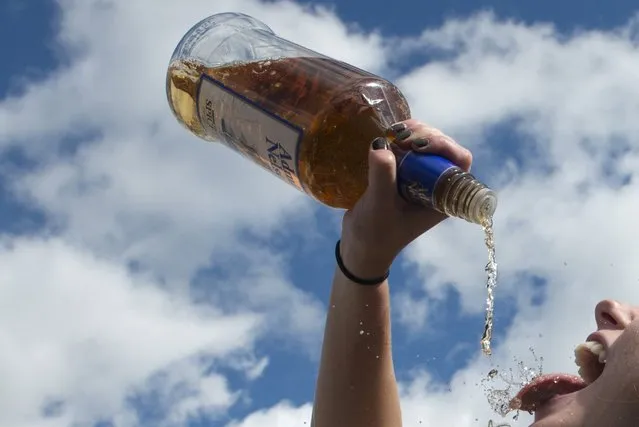 A woman pours alcohol from the bottle into her mouth at the Far Hills Race Day at Moorland Farms in Far Hills, New Jersey, October 17, 2015. (Photo by Stephanie Keith/Reuters)