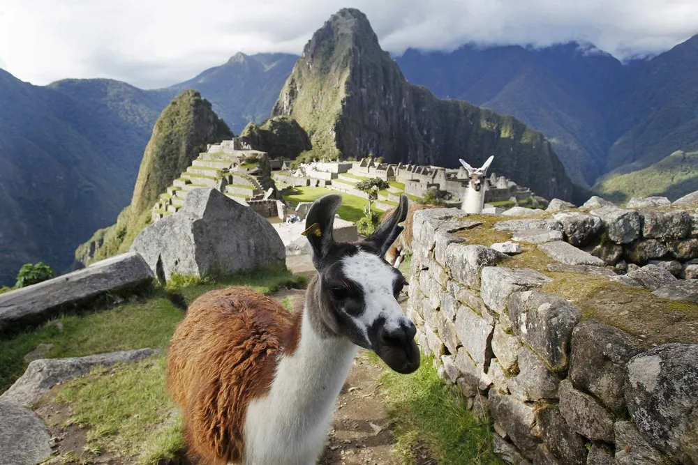 Machu Picchu