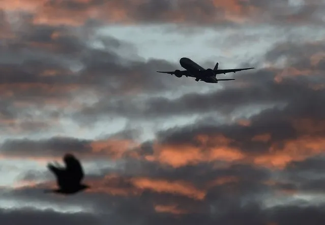 A bird passes in the foreground as a passenger aircraft makes it's final landing approach towards Heathrow Airport at dawn in west London Britain, April 18, 2016. (Photo by Toby Melville/Reuters)