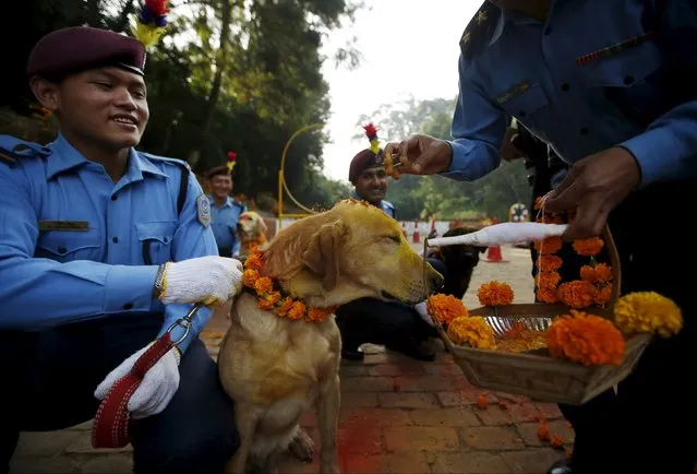 Nepalese police officers worship a dog during the dog festival as part of celebrations of Tihar at Central Police Dog Training School in Kathmandu, Nepal November 10, 2015. (Photo by Navesh Chitrakar/Reuters)
