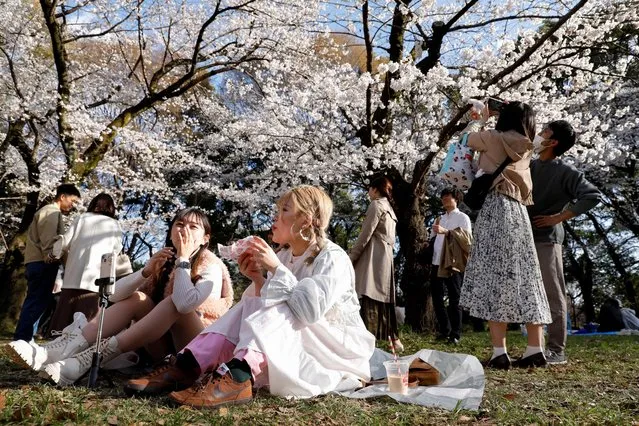 People enjoy cherry blossoms in Tokyo, Japan on March 20, 2023. (Photo by Androniki Christodoulou/Reuters)