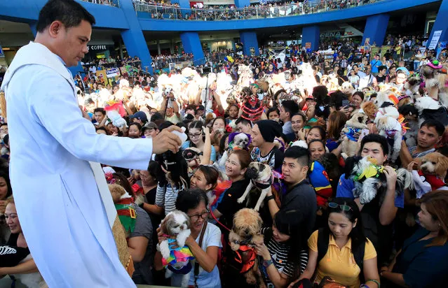 A Catholic priest sprinkles holy water at participants during “A Petrifiying Trail Pet” costume party at a mall in Pasay city, metro Manila, Philippines October 23, 2016. (Photo by Romeo Ranoco/Reuters)