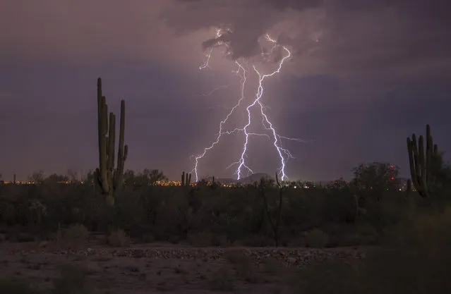 Bolts of lightning hits the city, on August 14, 2014, in Arizona. (Photo by Roger Hill/Barcroft Media)