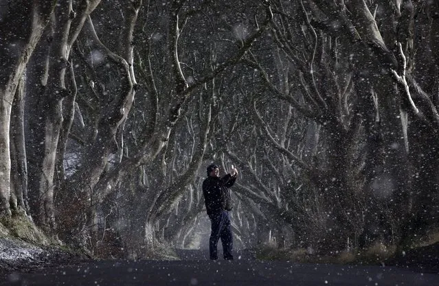 A man takes a picture with his mobile phone through heavy snow at the Dark Hedges on January 13, 2015 in Antrim, Northern Ireland. The Dark Hedges, named for it's unusual tree formation has become a recent tourist attraction after the setting was filmed as part of the hit HBO television series Game of Thrones which is filmed extensively in the province. (Photo by Charles McQuillan/Getty Images)
