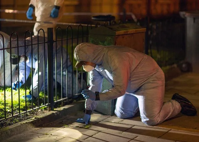 Police officers conduct a fingertip search of Poynders Road outside Poynders Court on the junction with Rodenhurst Road as they continue the search for Sarah Everard on March 9, 2021 in London, England. Sarah Everard, 33, from Brixton, London has been missing since leaving a friend's home in Clapham on Wednesday, March 3. (Photo by Richard Gillard/Getty Images)