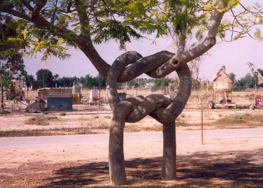 The Weird Shaped Trees of Axel Erlandson