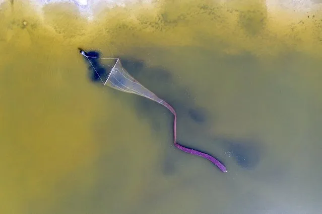 An aerial photo shows a fisherman fishing for saltwater worms in a salt lake in Yuncheng, north China's Shanxi Province, April 19, 2021. (Photo by Costfoto/Barcroft Media via Getty Images)