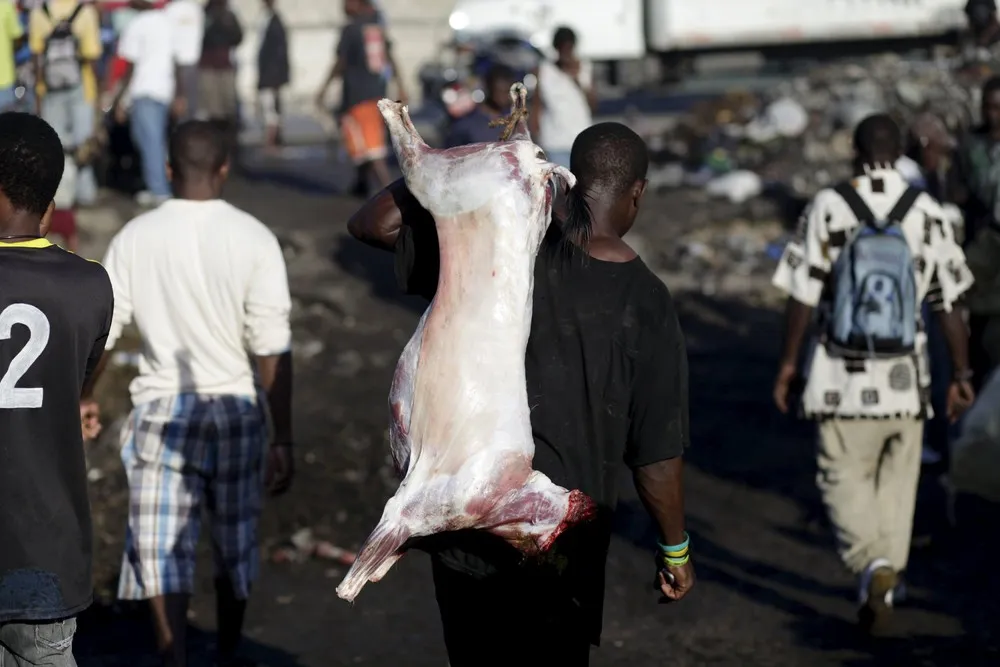 Inside a Haitian Slaughterhouse