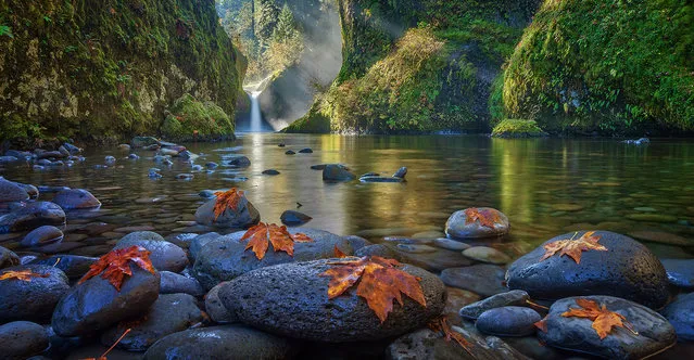 “Steamy Mornings”. Autumn sun pours into Punch Bowl Falls to create some stunning atmospherics. I didn't have long to capture the moving light beams so I frantically started shooting as soon as I arrived on the scene. Photo location: Columbia Rive Gorge, Oregon, USA. (Photo and caption by Gavin Hardcastle/National Geographic Photo Contest)