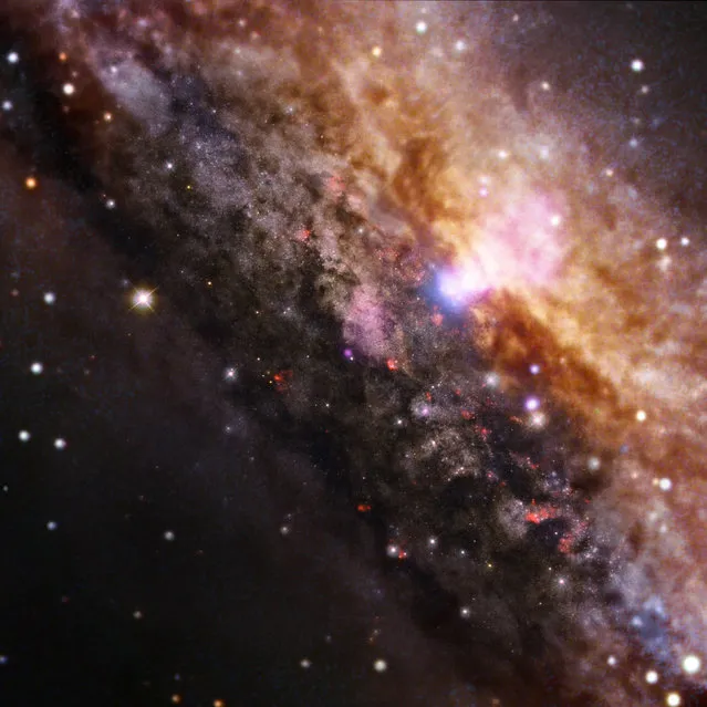 Galaxy NGC 4945 is shown in this NASA handout image provided on November 4, 2013. The galaxy is similar in overall appearance to our own Milky Way, but contains a much more active supermassive black hole within the white area near the top. Approximately 13 million light years from earth, X-rays from Chandra (blue), which have been overlaid on an optical image from the European Space Observatory (ESO), reveal the presence of the supermassive black hole at the centre of this galaxy. (Photo by Reuters/NASA/CXC/Univ degli Studi Roma Tre/A.Marinucci et al/ESO/VLT & NASA/STScI)