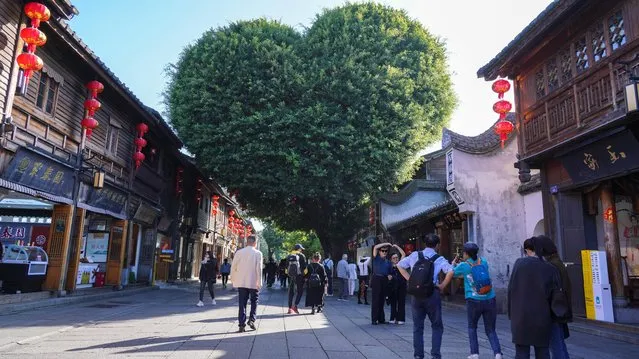 A banyan tree resembling the shape of a heart at Sanfang Qixiang draws tourists in Fuzhou City, southeast China's Fujian Province on December 14, 2023. (Photo by Rex Features/Shutterstock)