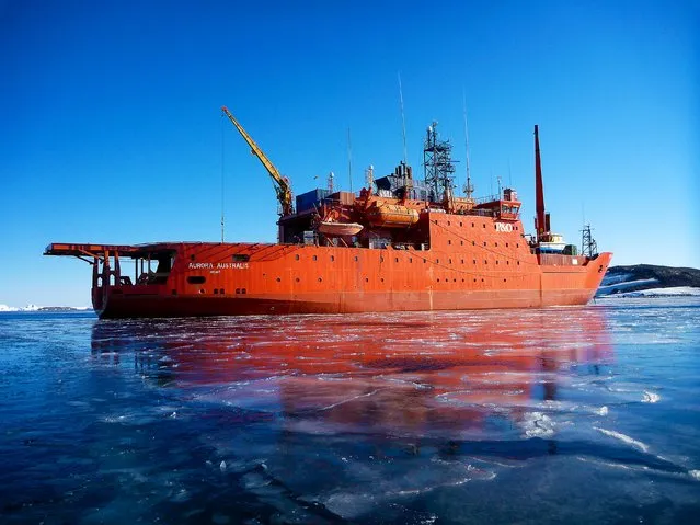 The Aurora Australis ship sits among new ice, moored in Horseshoe Harbour at Mawson Station, Antarctica in this undated file photo supplied by the Australian Antarctic Division February 24, 2016. According to a statement released Wednesday by the Australian Antarctic Division, the ship broke free of its mooring lines and has run aground during a blizzard with 67 expeditions and crew aboard. (Photo by Chris Wilson/Reuters/Australian Antarctic Division)