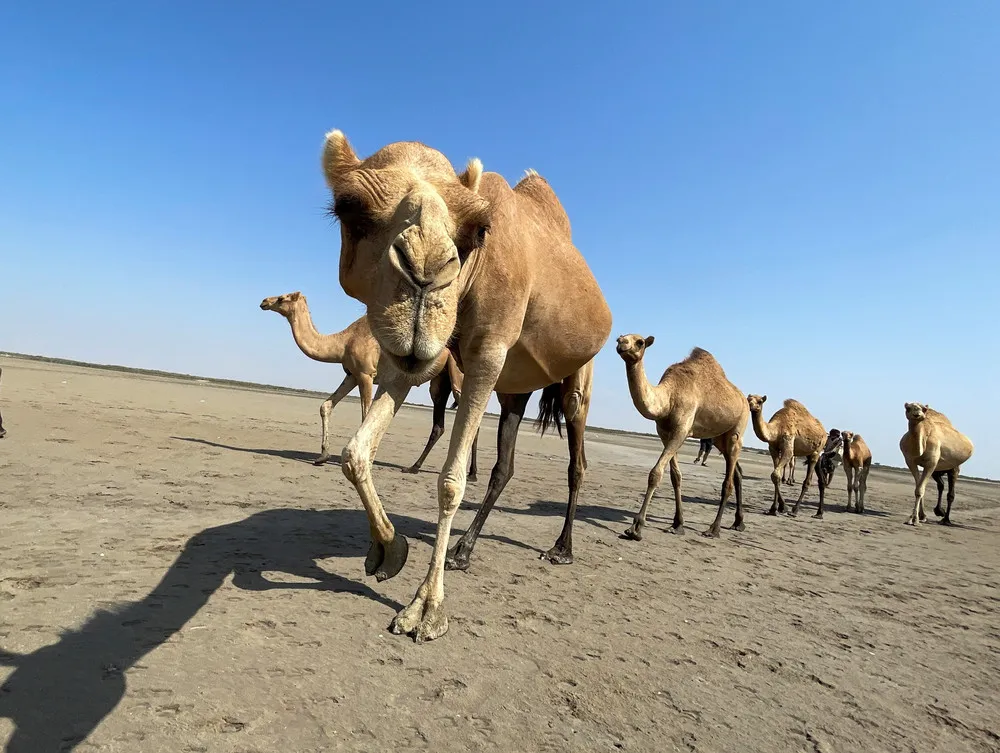 A Look at Life in Yemen