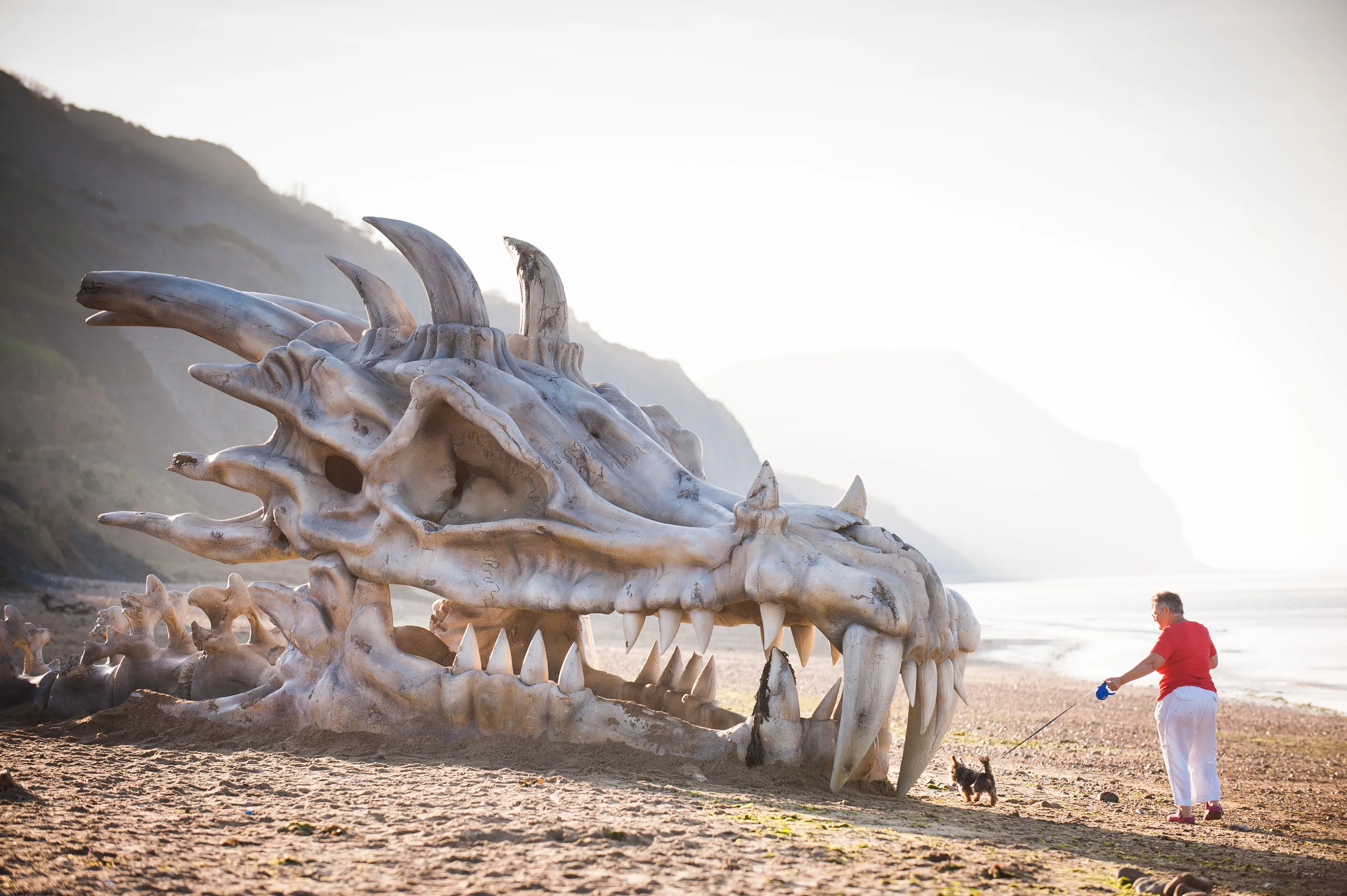 Какие бывают огромные. Юрское побережье череп дракона. Существуют ли драконы.