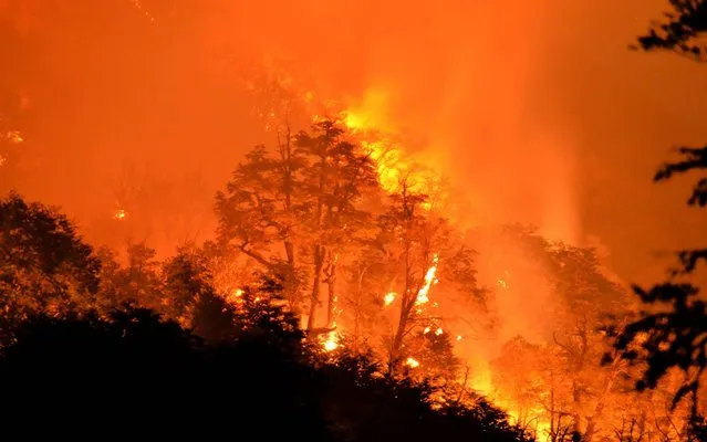 View of the forest fire at the Conguillo National Park, Chile, on March 24, 2015. (Photo by AFP Photo/Stringer)