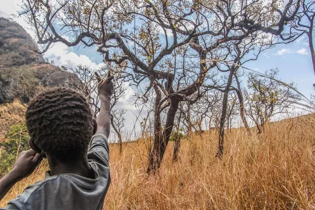 Children often go out to hunt small birds and bat with home made sling shots, Karamoja, Uganda, February, 2017. (Photo by Sumy Sadurni/Barcroft Images)