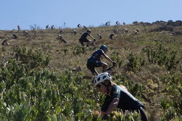 Competitors ride during Stage 4 of the 2024 Cape Epic mountain bike race on March 21, 2024 in the mountains above the town of Wellington. In this stage the competitors race over a distance of 75km, and climb 2500m in height. The Cape Epic, now in it's twentieth edition, in which two riders race as a team, is widely known as the foremost mountain bike stage race in the world, with some of the best riders in the world covering a distance of approximately 617 kilometres, and gaining over 16500m in height, over eight days of racing. This race is classified “hors categorie” by the Union Cycliste Internationale (UCI), making it an important race in the racing professionals calendar. (Photo by Rodger Bosch/AFP Photo)