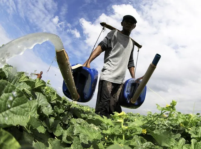 A farmer water his plants at a field in Taguig City, Metro Manila, Philippines, 20 March 2024. According to the Department of Environment and Natural Resources (DENR), about 40 million Filipinos still lack access to a formal water supply while 74 million of the population have access to piped and potable water. The DENR has called for a concerted effort among local government units to address the situation and ensure access to clean and potable water supply for all. World Water Day is observed annually on 22 March, to highlight the global need for access to safe and clean water. (Photo by Francis R. Malasig/EPA)