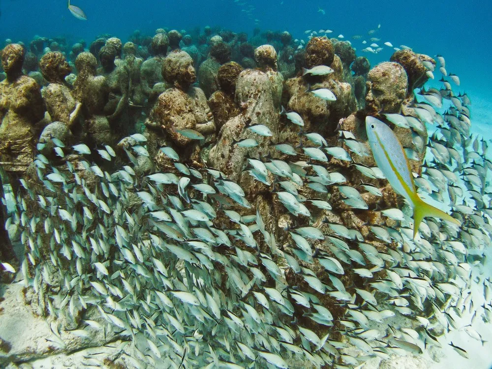Underwater Sculpture, Part 1: “The Silent Evolution”
