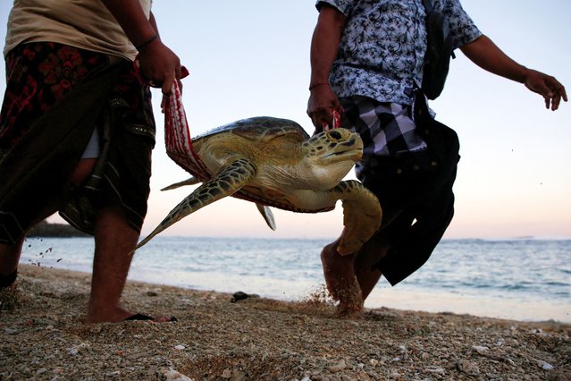 Men carry a sea turtle to be released into the sea during a water purification ceremony as part of the opening of the 10th World Water Forum in Serangan Island, Denpasar, Bali, Indonesia, on May 18, 2024. (Photo by Johannes P. Christo/Reuters)