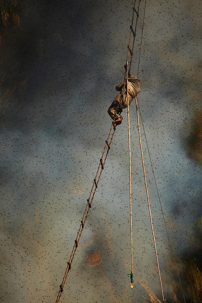 Ancient Traditional Honey Hunters of Nepal