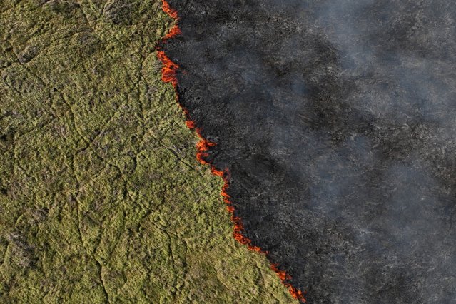 A drone view shows smoke rising from a fire in the Pantanal, the world's largest wetland, in Corumba, Mato Grosso do Sul state, Brazil, on June 10, 2024. (Photo by Ueslei Marcelino/Reuters)