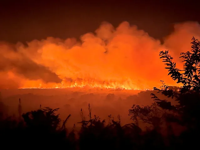 A view shows trees and vegetation burning amid a fire that broke out in the Monts d'Arree in Brasparts, in Brittany, France, July 19, 2022 in this handout picture obtained on July 20, 2022. (Photo by Rachel Le Guillou/cellule audiovisuelle SDIS 29/Handout via Reuters)