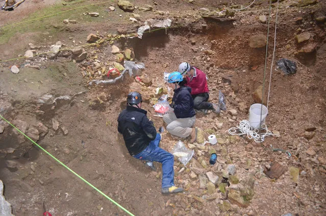 This July 2014 image provided by the Bureau of Land Management shows Justin Sipla, from left, Julie Meachen, and Jenna Kaempfer collecting samples for analysis inside the Natural Trap Cave in north-central Wyoming. The cave holds the remains of tens of thousands of animals, including many now-extinct species, from the late Pleistocene period tens of thousands of years ago. Scientists have resumed digging for the first time in more than 30 years. (Photo by AP Photo/Bureau of Land Management)