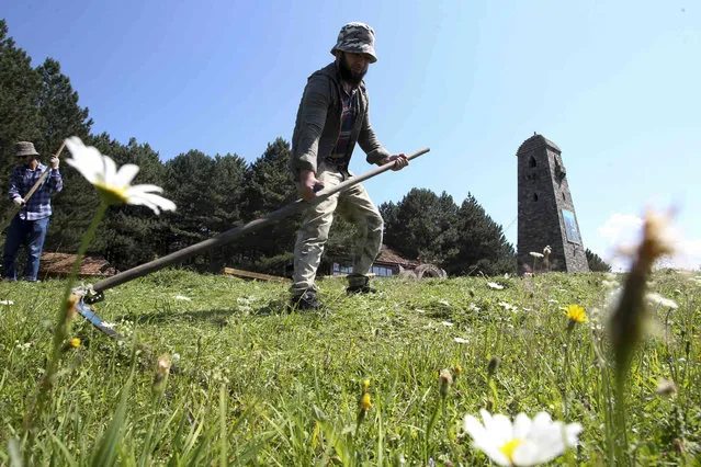 Chechen men mow the grass outside Benoy village, about 100 kilometers (63 miles) south of Grozny, with a model of the old Chechen tower, Russia, Monday, August 1, 2022. (Photo by Musa Sadulayev/AP Photo)