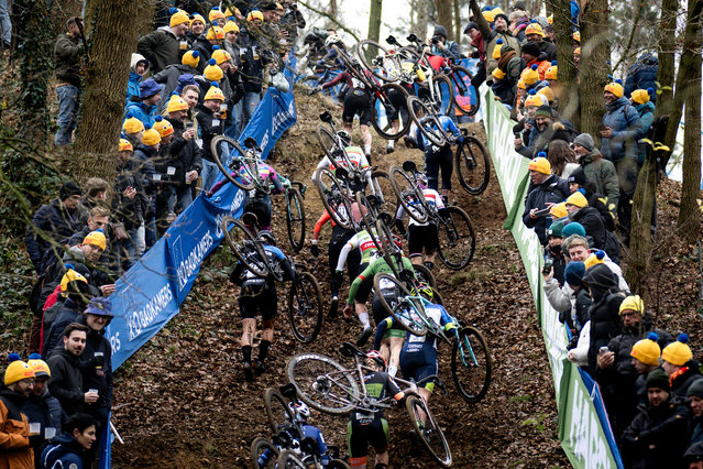Illustration of the peloton in the first climb of the Women Elite race during the Cyclocross X2O Trofee Herentals 2024 on December 14, 2024 in Herenthals, Belgium. (Photo by Billy Ceusters /Getty Images)