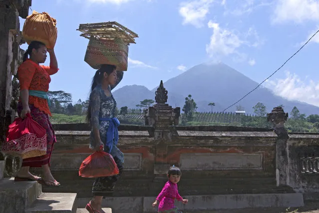 Women carry offerings at a temple about 10 kilometers (6.3 miles) from Mount Agung volcano, rear, at Pemuteran village in Karangasem, Bali, Indonesia, Wednesday, September 27, 2017. Warnings that a volcano on the Indonesian tourist island of Bali will erupt have sparked an exodus of more than 75,000 people that is likely to continue to swell, the country's disaster agency said. (Photo by Firdia Lisnawati/AP Photo)