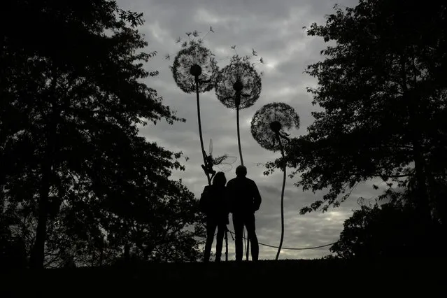 Visitors are silhouetted as they look at “Dandelion Sculpture” by Amy Stoneystreet and Robin Wight at the Royal Horticultural Society Garden Wisley, in the village of Wisley, near Woking, England, Wednesday, October 4, 2017. (Photo by Matt Dunham/AP Photo)