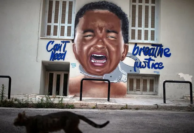 A cat passes by a mural responding to the death in Minneapolis police custody of George Floyd by Greek visual artist Hambas, in Athens, Greece, June 16, 2020. (Photo by Alkis Konstantinidis/Reuters)