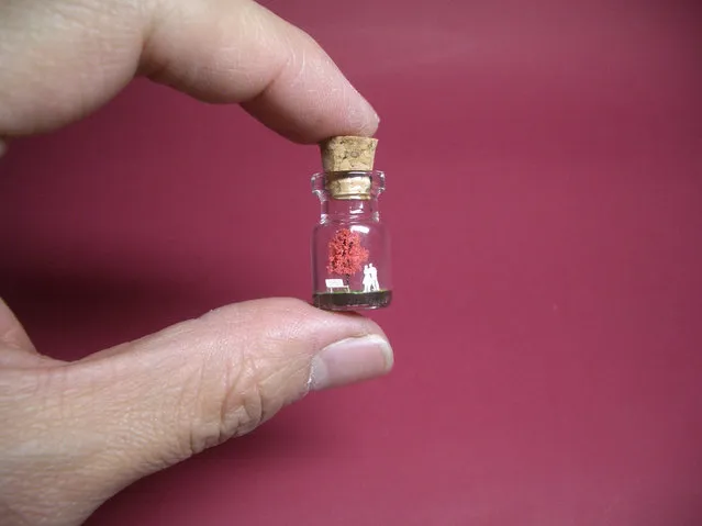 Tiny World In A Bottle