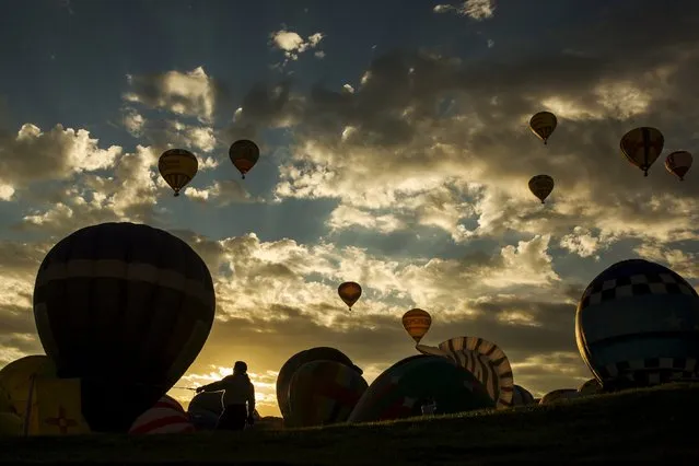 A man holds a guide line as he stands in front of hot air balloons being prepared for lift off on the first day of the 2015 Albuquerque International Balloon Fiesta in Albuquerque, New Mexico, October 3, 2015. (Photo by Lucas Jackson/Reuters)