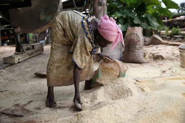 A woman collects sawdust at a sawmill near an unreserved forest in Igede-Ekiti township, southwest Nigeria, August 18, 2014. (Photo by Akintunde Akinleye/Reuters)