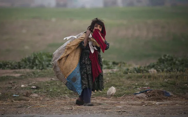 A Pakistani girl who is displaced with her family from the tribal area of Bajur where security forces are fighting against militants, collects recyclable items in Islamabad's slums, Thursday, November 20, 2014, on Universal Children's Day, which is marked annually by the United Nations. (Photo by B.K. Bangash/AP Photo)