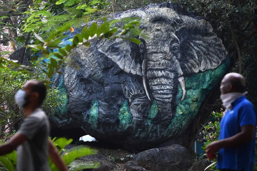 India last Week, Part 1/2