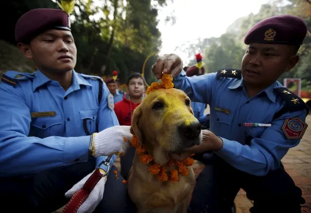 Nepalese police officers worship a dog during the dog festival as part of celebrations of Tihar at Central Police Dog Training School in Kathmandu, Nepal November 10, 2015. (Photo by Navesh Chitrakar/Reuters)