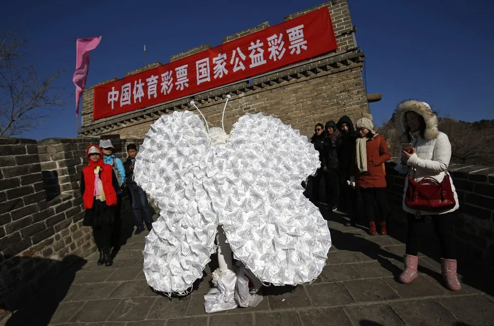 “Transforming into a Butterfly”