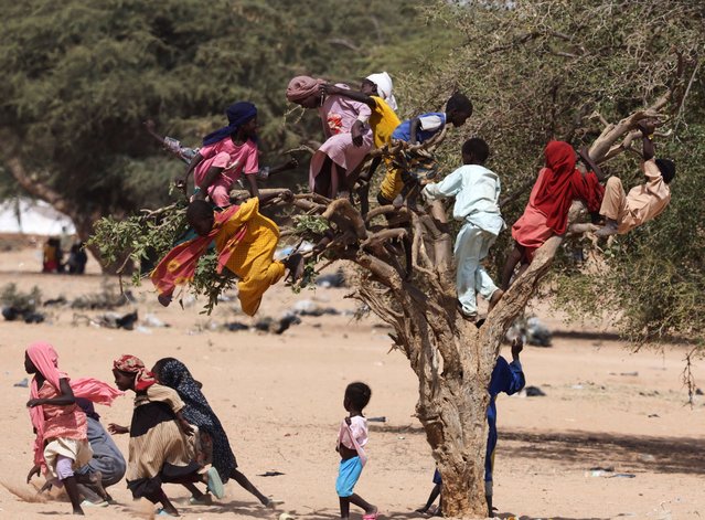 Sudanese refugee children from Darfur play and jump on a tree at the Iridimi refugee camp, northwest of the town of Iriba, in Wadi Fira province, eastern Chad, on November 27, 2025. (Photo by Amr Abdallah Dalsh/Reuters)