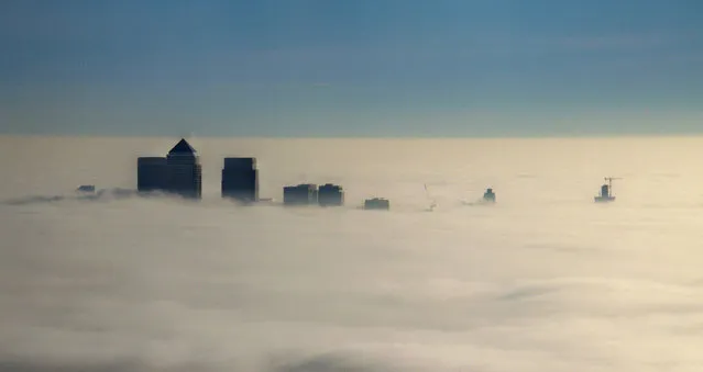 Low-lying fog over Canary Wharf, seen from the viewing gallery of the Shard in London, UK on November 1, 2015. (Photo by The Shard/PA Wire)