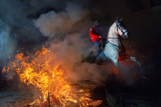 A horseman rides through a bonfire during the traditional festival of “Las Luminarias” in honour of San Antonio Abad (Saint Anthony), the animals' patron saint, in San Bartolome de Pinares, west of Madrid, on January 16, 2025. (Photo by Philippe Marcou/AFP Photo)