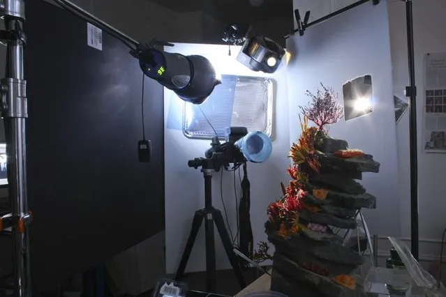 The setup of cameras and video projectors that are used to create the underwater glow for “How to Breathe Underwater”. (Photo by Matthew Albanese/Barcroft Media)