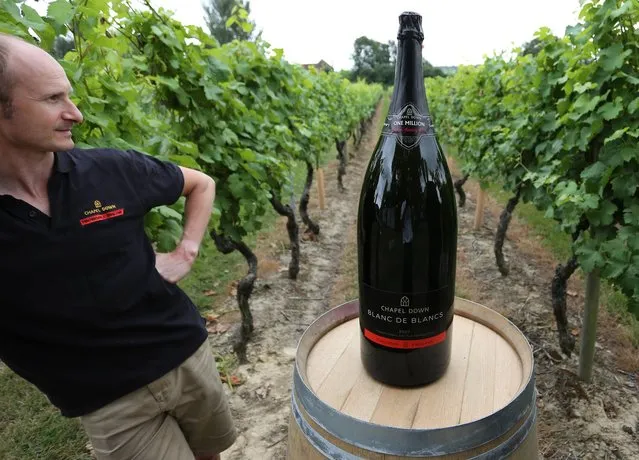 Winemaker Andrew Parley at the Chapel Down Winery in Tenterden, Kent, looks on August 7, 2013 at the 15 litre Nebuchadnezzar bottle, the largest bottle of English Sparkling Wine ever to be made. (Photo by Gareth Fuller/PA Wire)